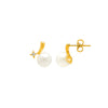 18k Gold Plated Silver Ocean Pearl Earrings