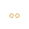 18k Gold Plated Silver Allure Earrings